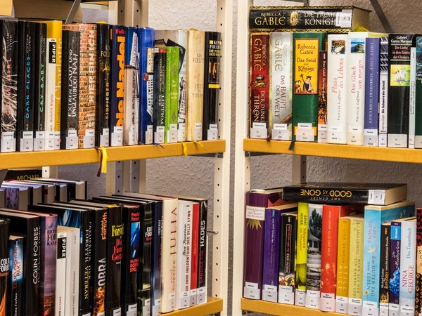 Bücherregal mit vielen Romanen