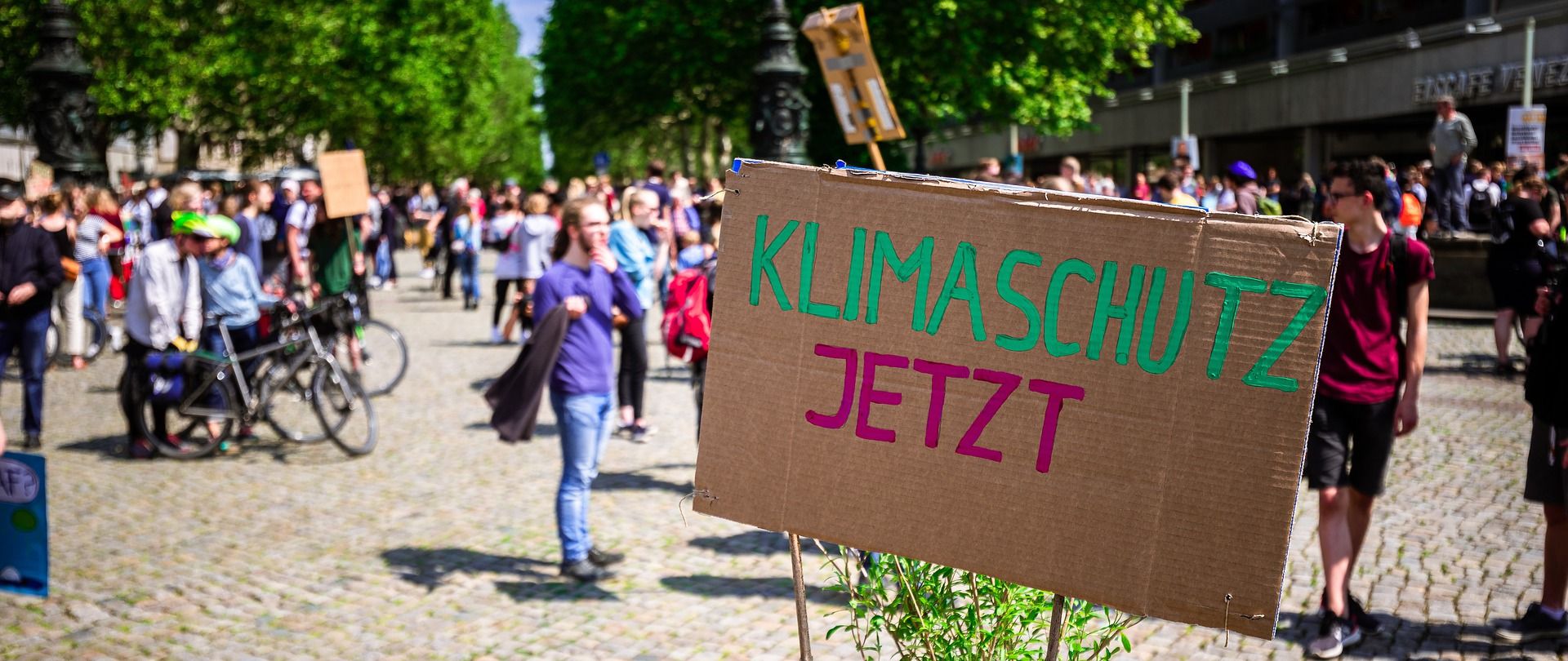 Klimaschutz jetzt