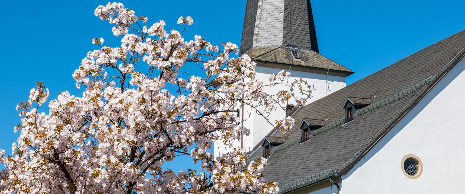 Kirche mit blühendem Kirschbaum